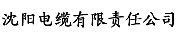 欧美成人在线视频电缆厂logo